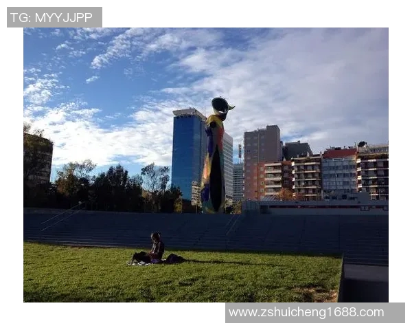 非洲足球明星女性形象展现独特魅力与风采的艺术之旅